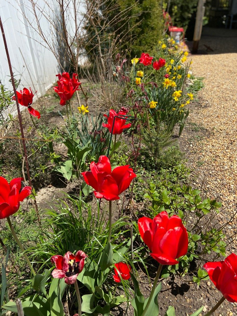 Property Photo 48