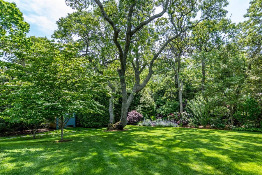 Property Photo 81