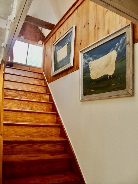 Property Photo 19