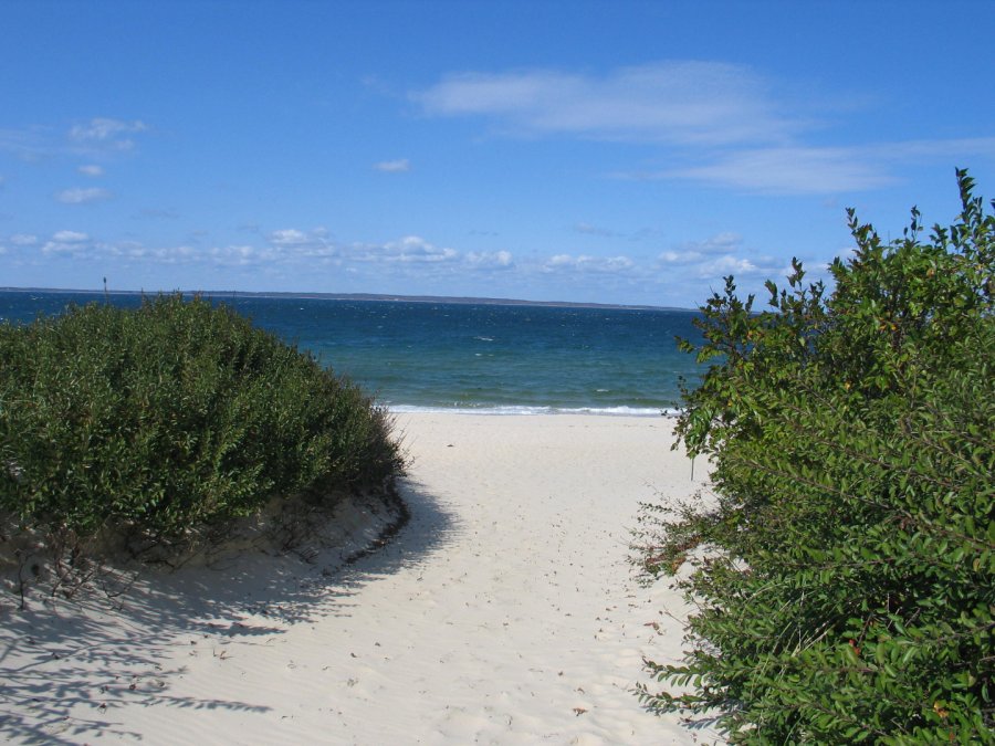 Property Photo 41
