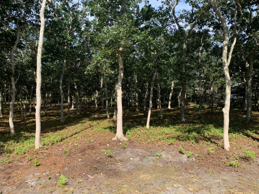 Property Photo 31