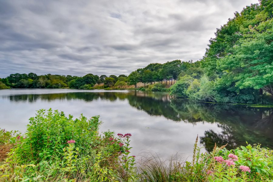 Property Photo 32
