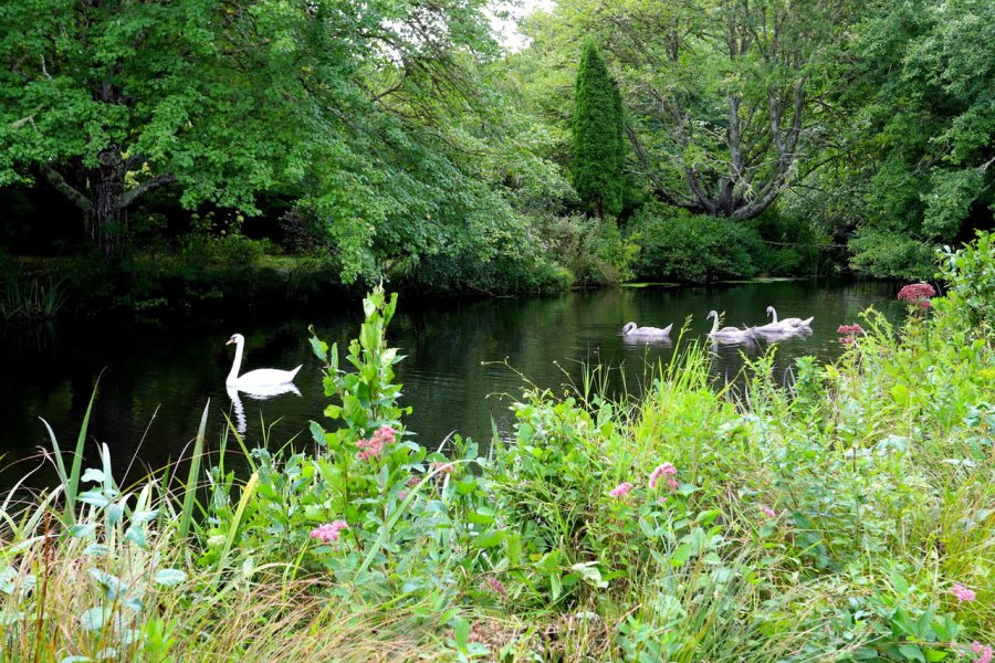 Property Photo 31