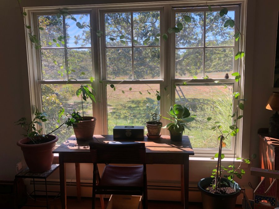 Property Photo 19
