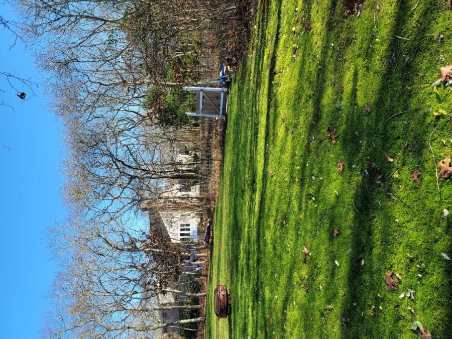 Property Photo 41