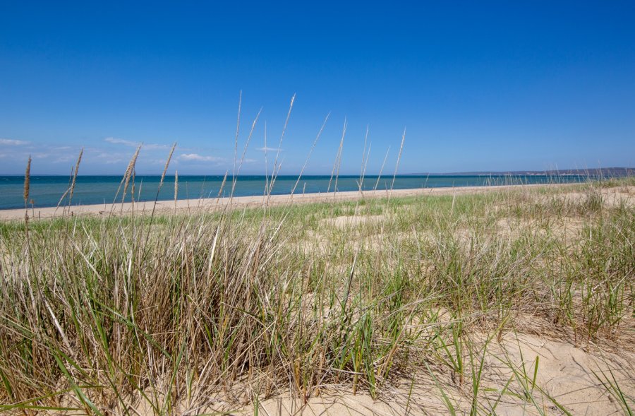 Property Photo 47