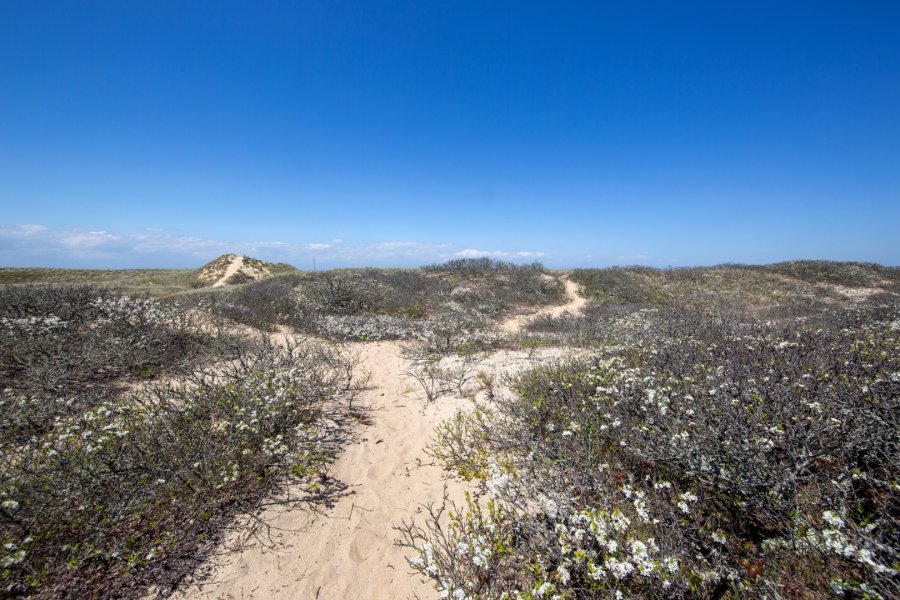 Property Photo 45