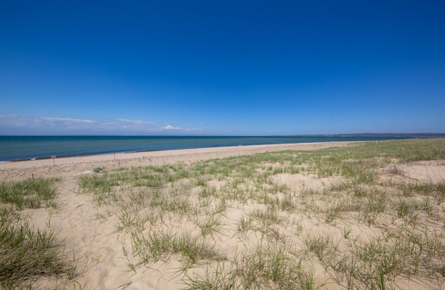 Property Photo 48