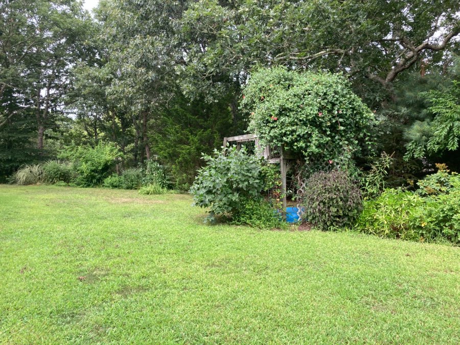 Property Photo 38