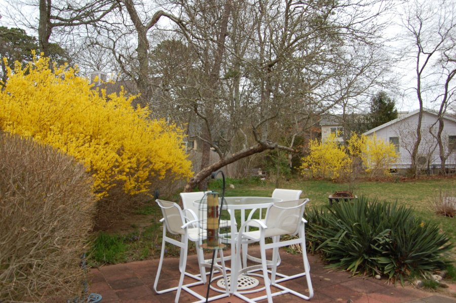 Property Photo 22