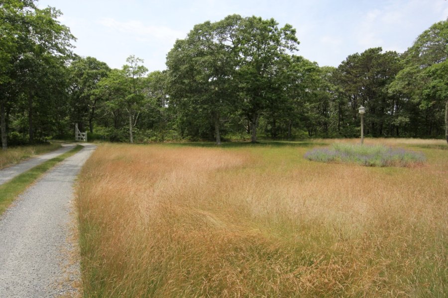 Property Photo 42