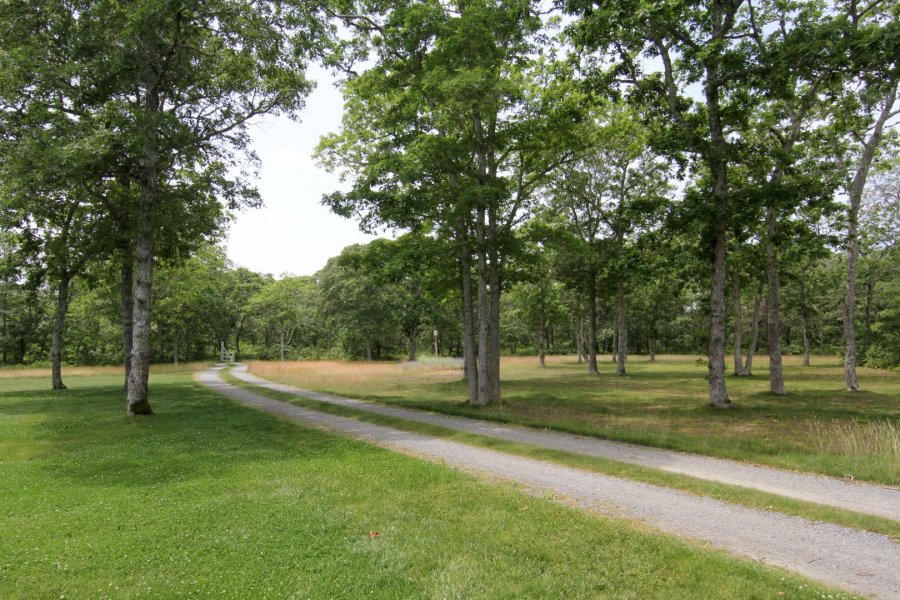 Property Photo 43