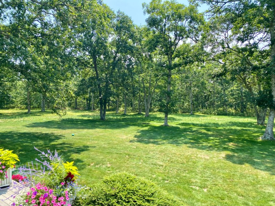 Property Photo 40