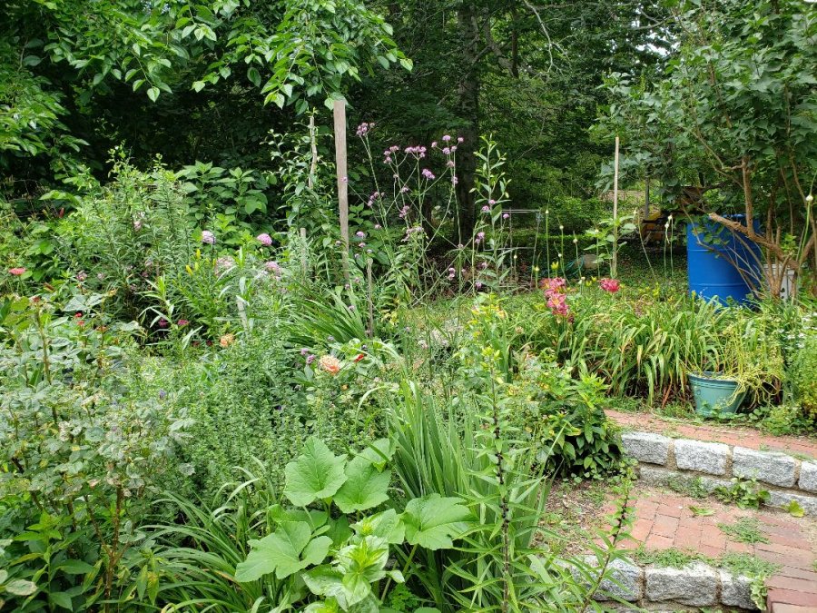 Property Photo 52