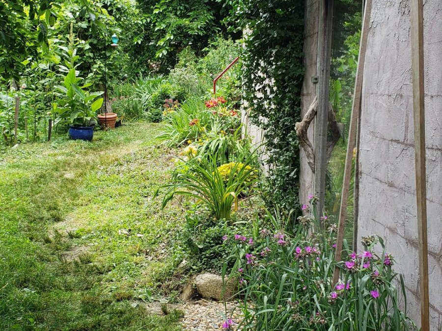 Property Photo 51