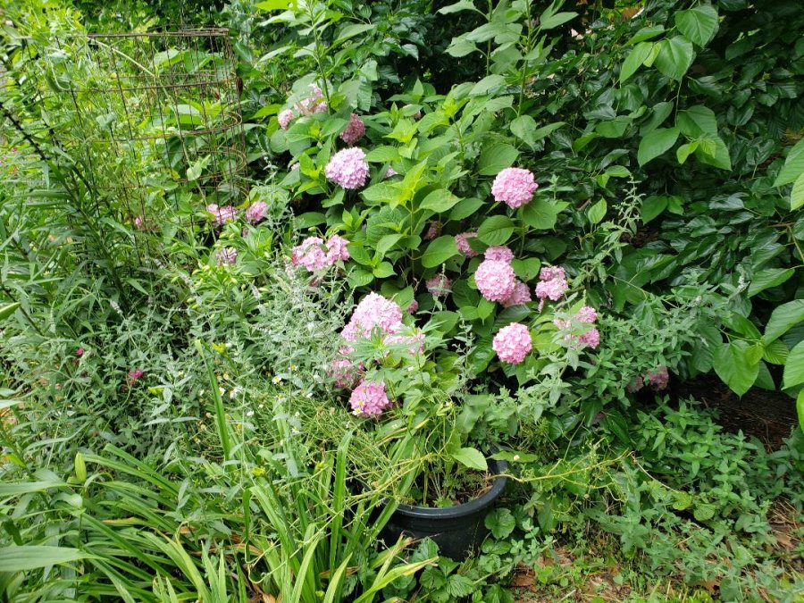 Property Photo 50