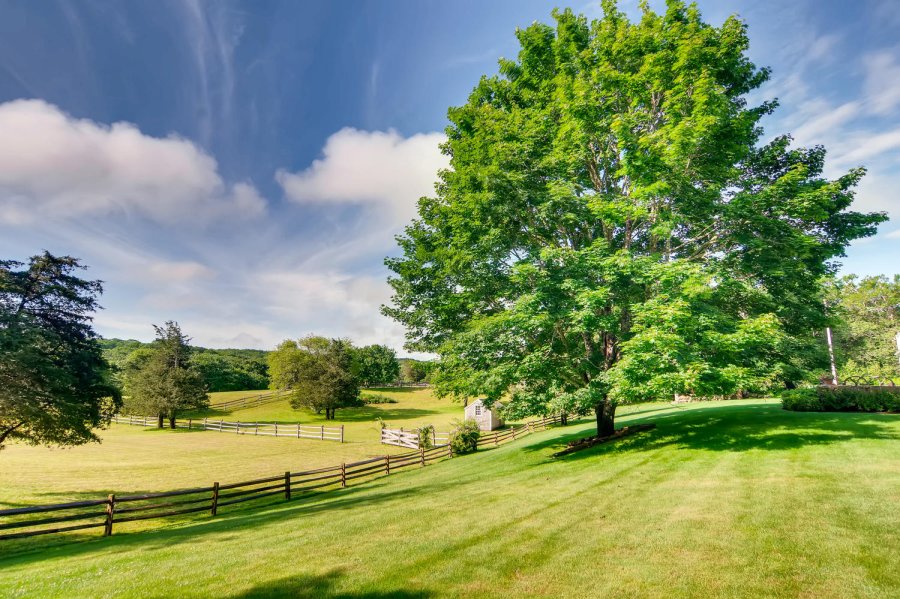 Property Photo 66