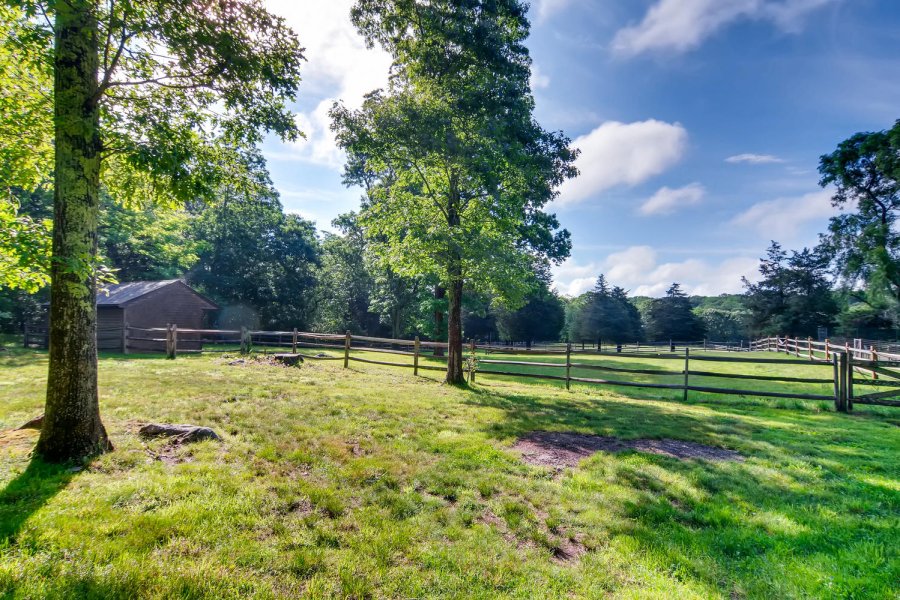 Property Photo 44