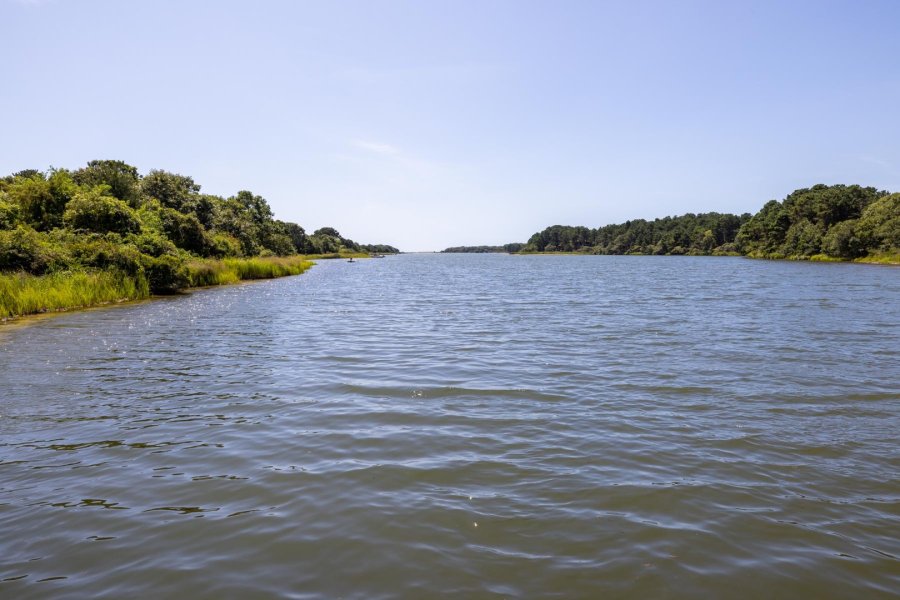 Property Photo 38