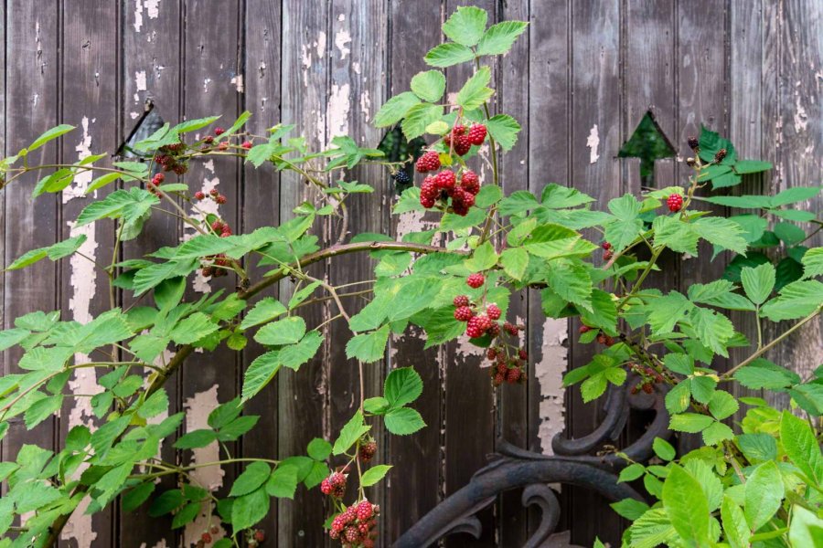 Property Photo 22