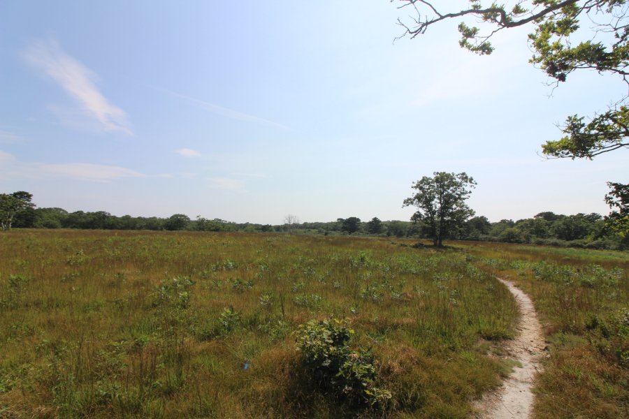 Property Photo 30