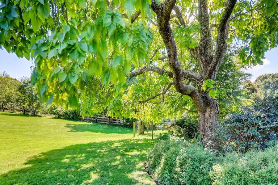 Property Photo 92