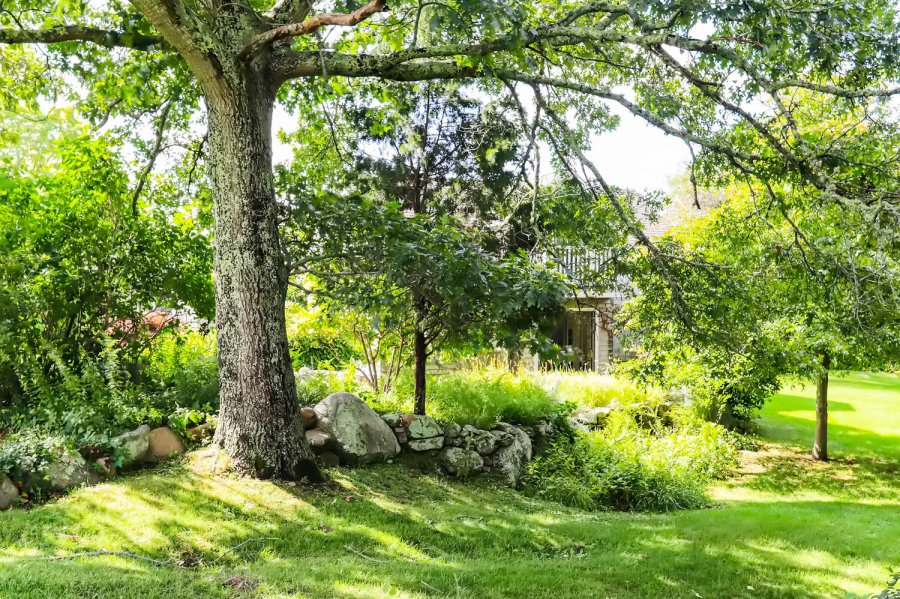 Property Photo 89