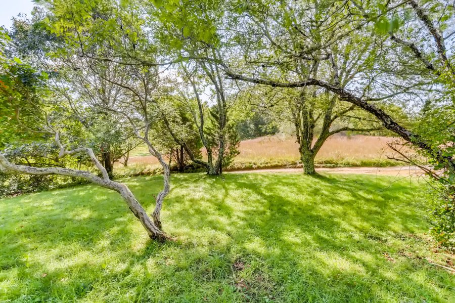 Property Photo 93