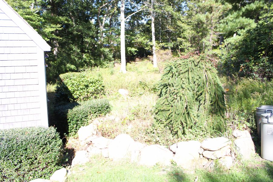 Property Photo 47