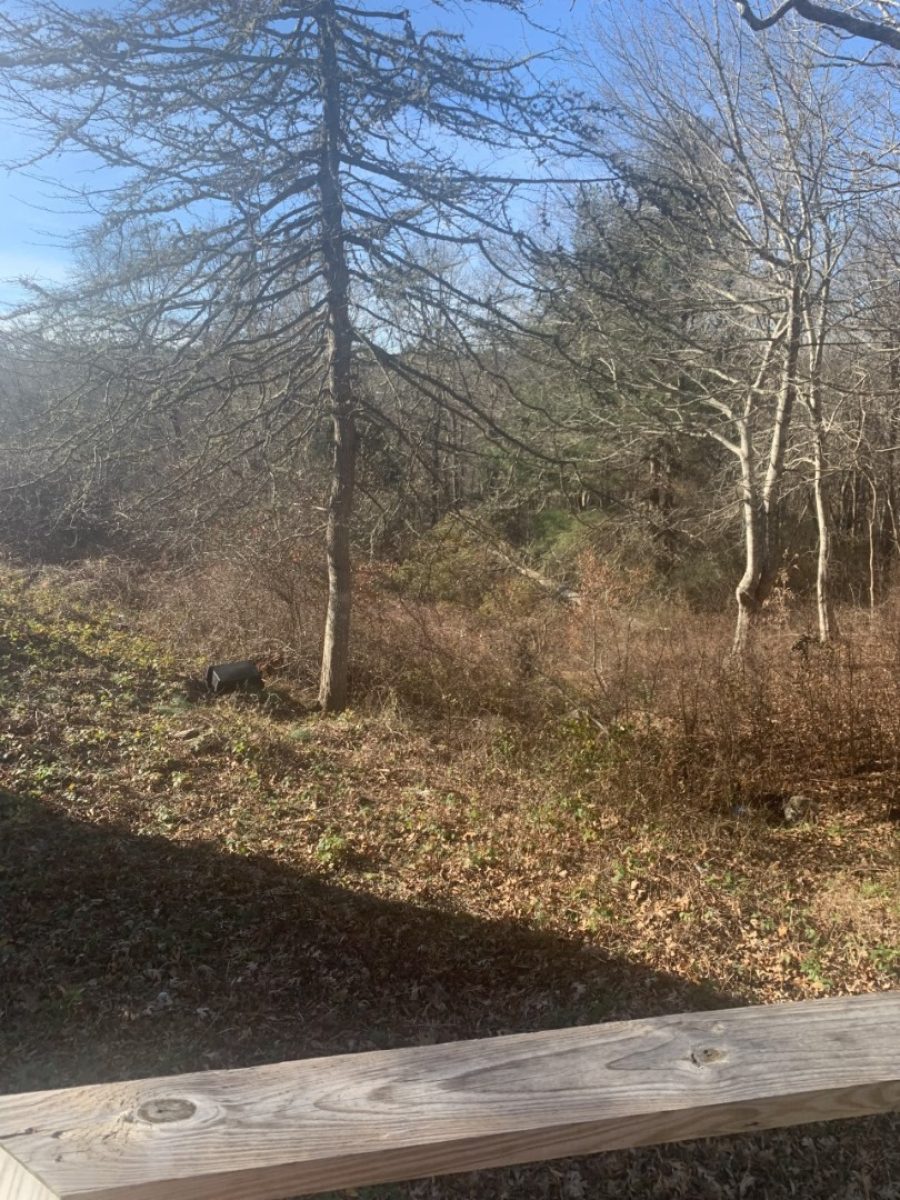 Property Photo 51