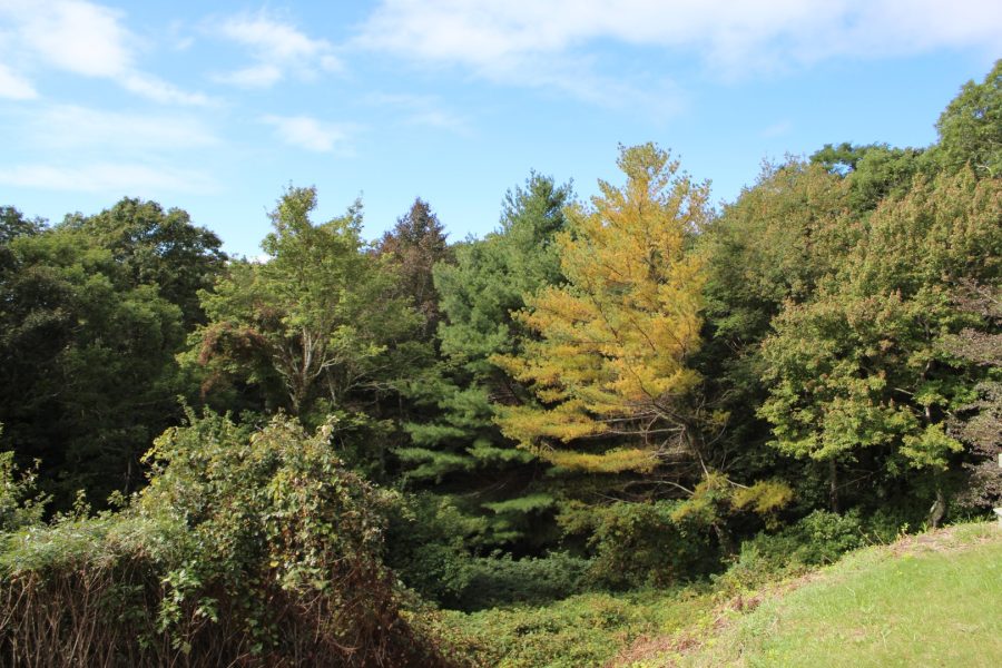 Property Photo 31