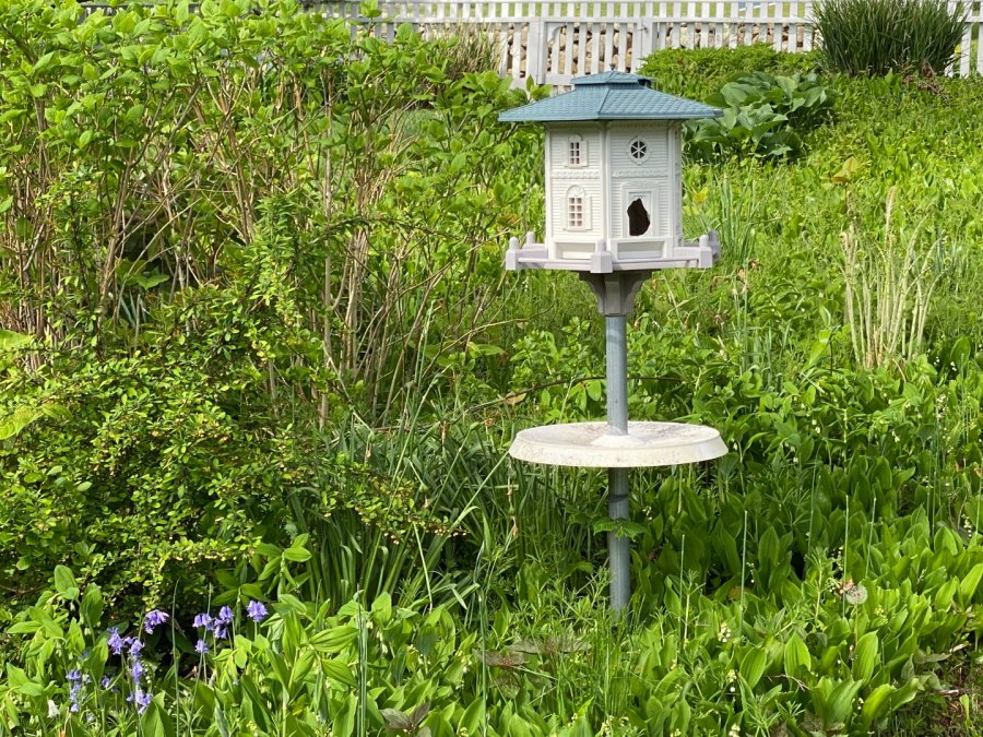 Property Photo 31