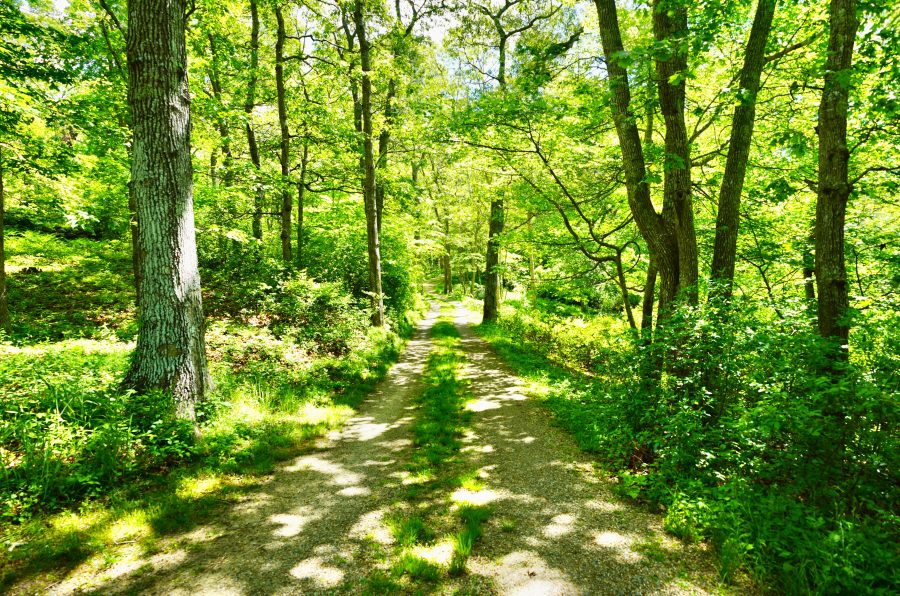 Property Photo 66