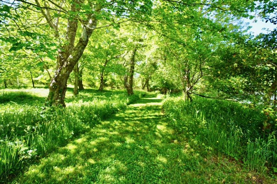 Property Photo 65