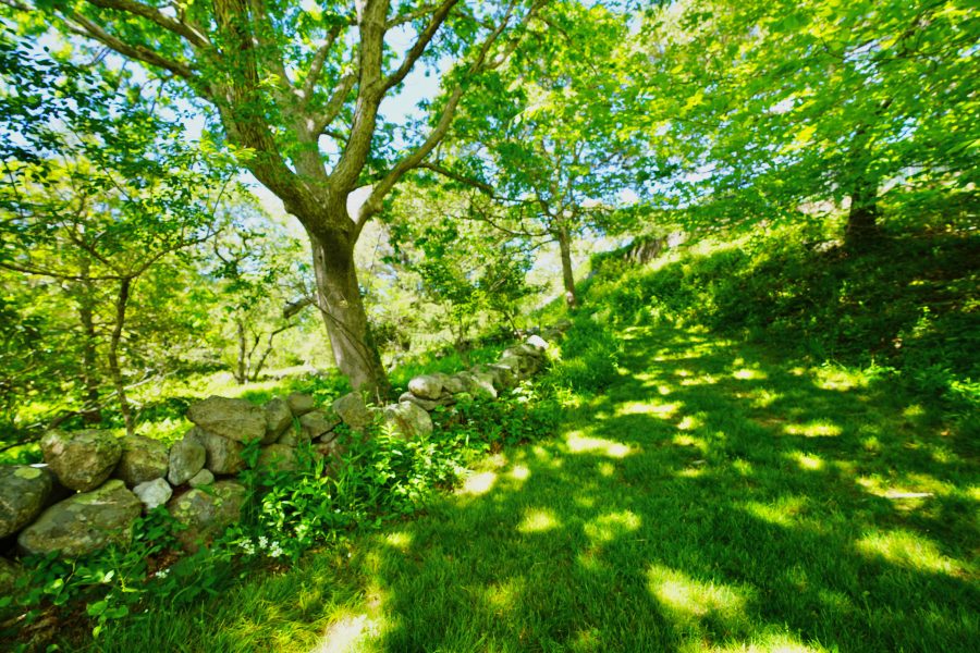 Property Photo 54