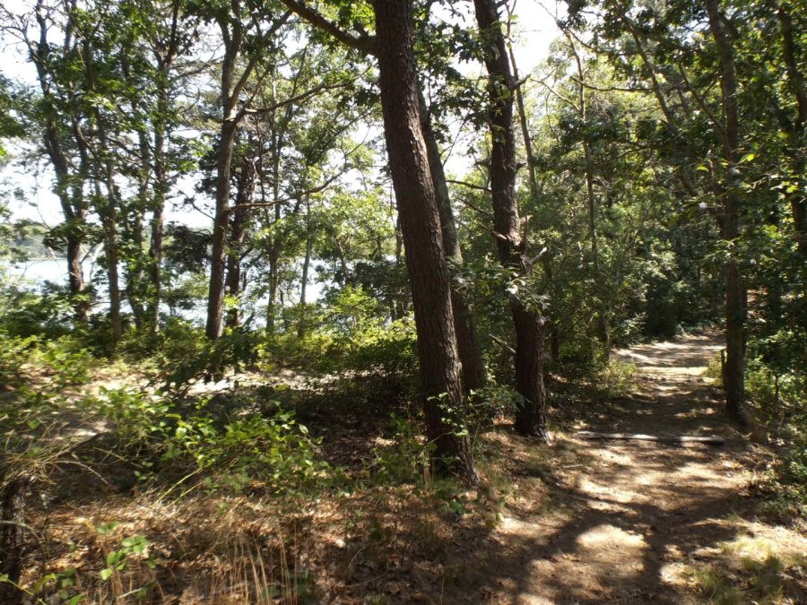 Property Photo 30