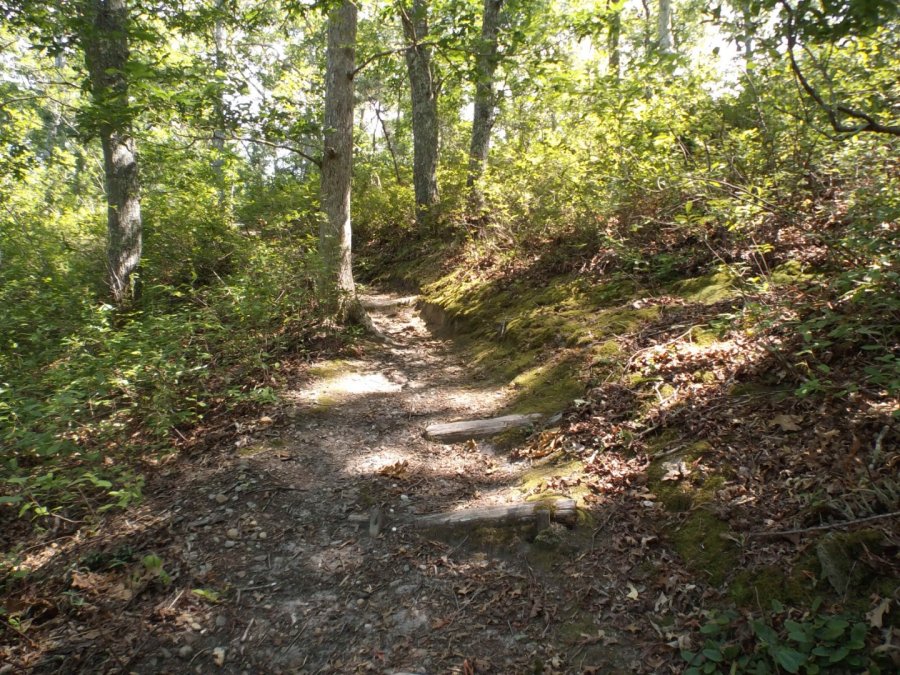 Property Photo 29