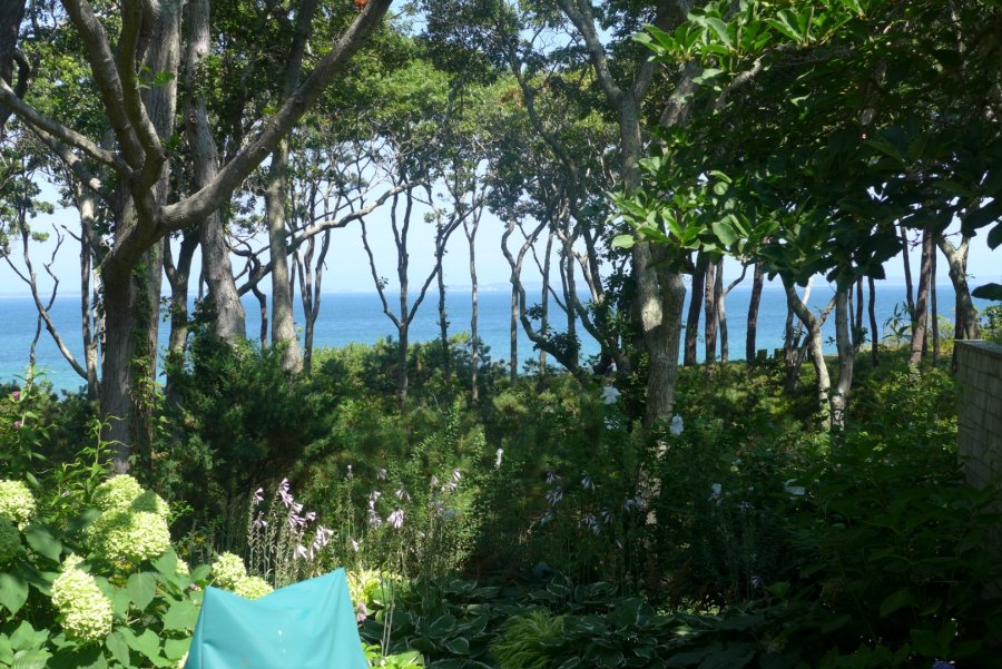 Property Photo 38