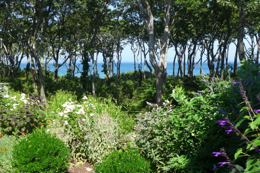 Property Photo 39