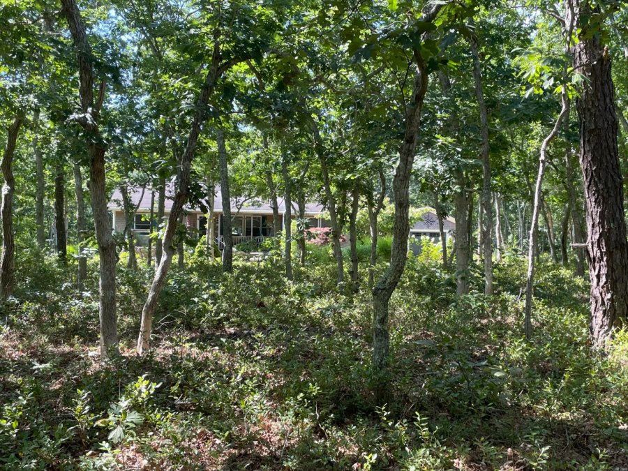 Property Photo 19