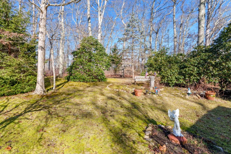 Property Photo 42
