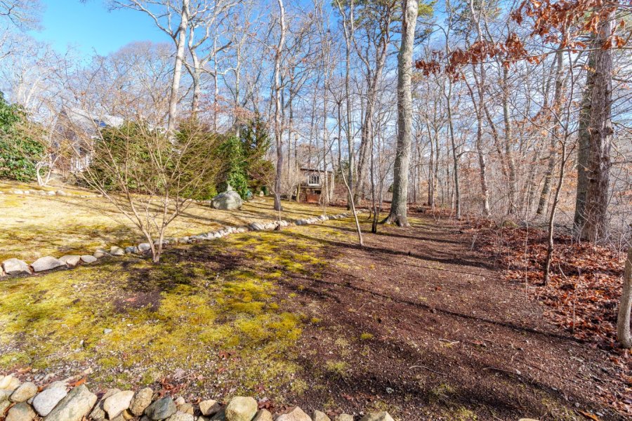 Property Photo 43