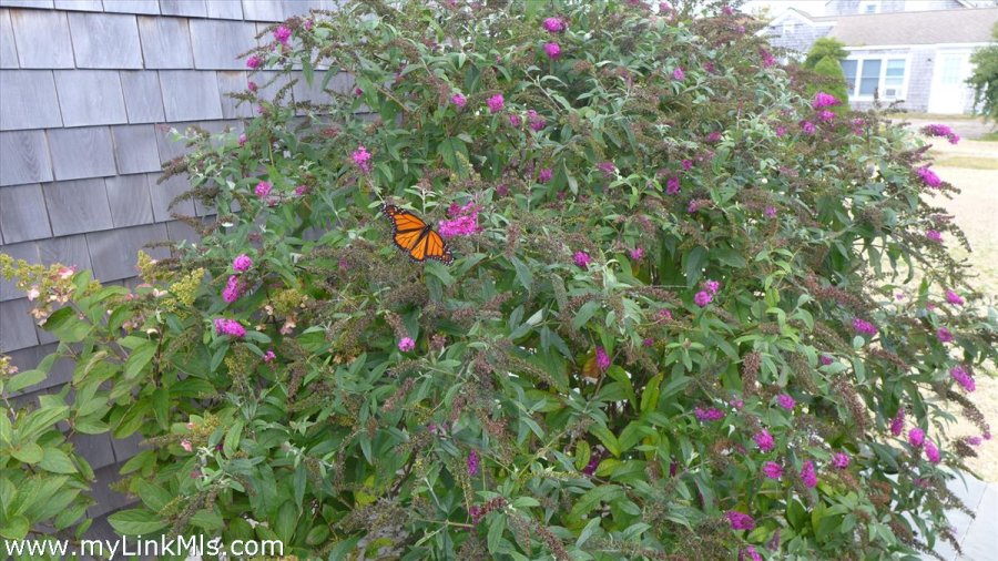 Property Photo 36
