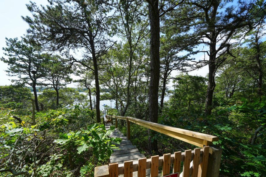 Property Photo 26