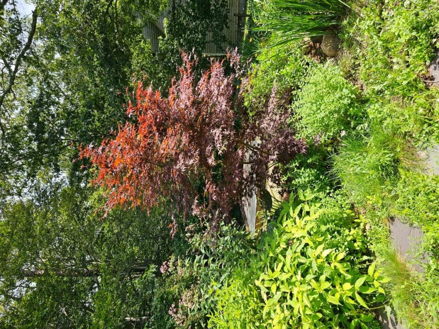 Property Photo 56