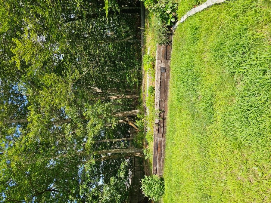 Property Photo 67