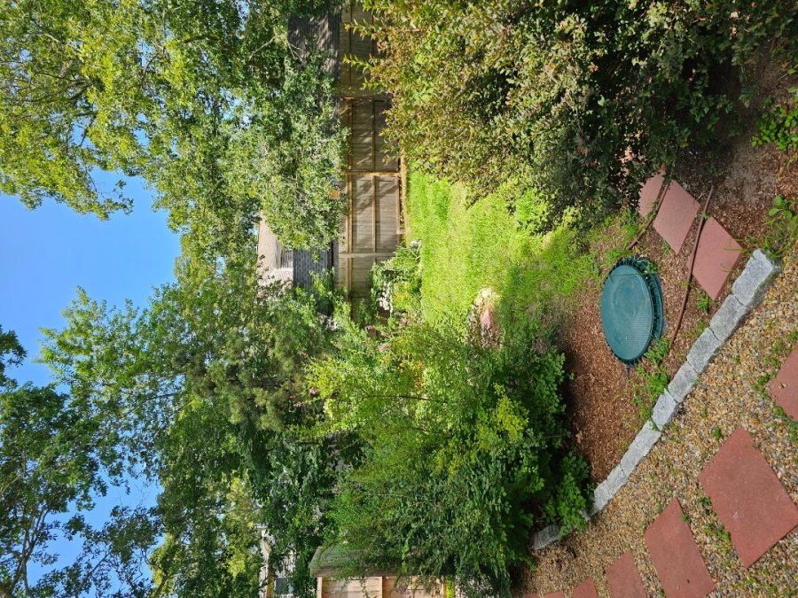 Property Photo 61