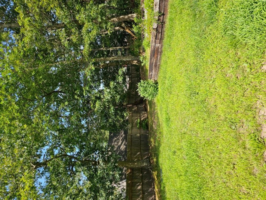 Property Photo 65