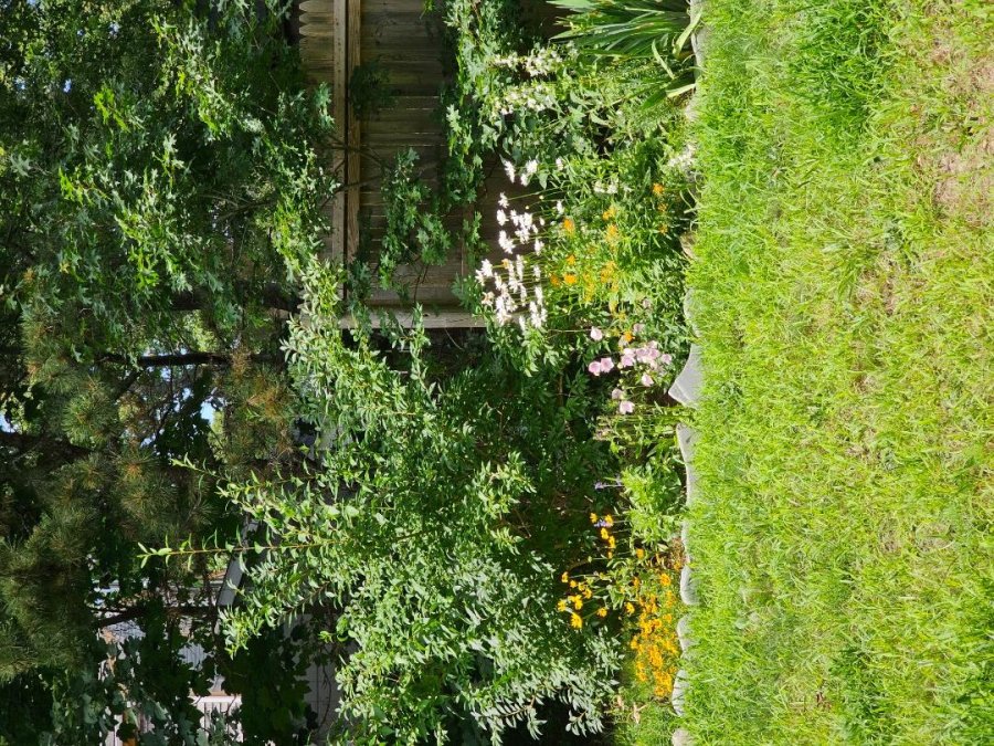 Property Photo 51