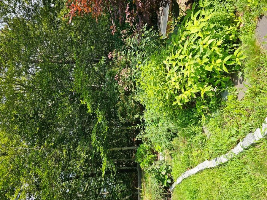Property Photo 55